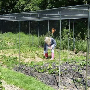 Vegetable or Fruit Cage Large Walk In 1.9m High With Door Netting Pegs and Clips - Picture 1 of 7