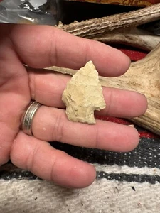 Rhyolith Kirk archaische Periode - Nelson County Virginia. B64 - Bild 1 von 18