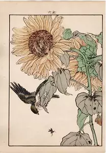 1892, Imao Keinen, "Sunflower, Japanese yellow bunting" - Picture 1 of 1