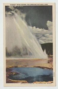 Postal del Parque Nacional de Yellowstone Géiser Margarita de Wyoming Frontera Blanca Sin Usar - Imagen 1 de 2