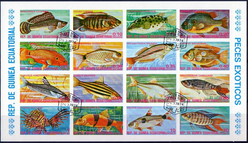 HB República Guinea Ecuatorial hojita bloque sin dentar año 1974 usada peces - Imagen 1 de 1