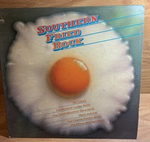 E SOUTHERN FRIED ROCK VARIOUS Gregg Allman Molly Hatchet 38 Special Album - Foto 1 di 11