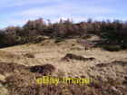 Photo 6x4 Birch Fell Hartbarrow The top of Birch Fell is engulfed by tree c2007