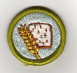 Retired - Food Systems Merit Badge Type H, Clear Plastic Back (1978-1987), Mint! - Picture 1 of 1