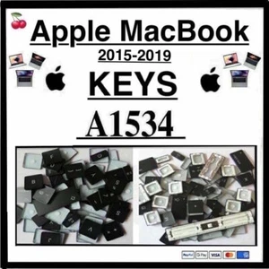 🍒 Clés MacBook 2015-2019 Modèles Apple : A1534 Options pour clés et clips - Photo 1/155