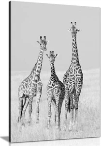 Black & White Giraffe Family Framed Canvas Print Wall Art Home Decor - Picture 1 of 6