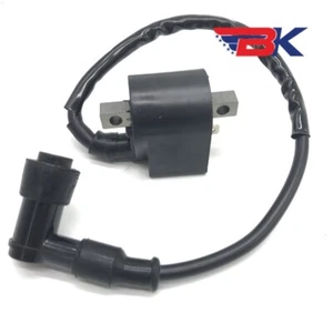 Ignition Coil With CDI For Suzuki LT 50 LT50 Quadrunner 50 ATV Dirt Bike - Picture 1 of 12