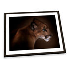 Puma Cat Animal FRAMED ART PRINT Picture Artwork