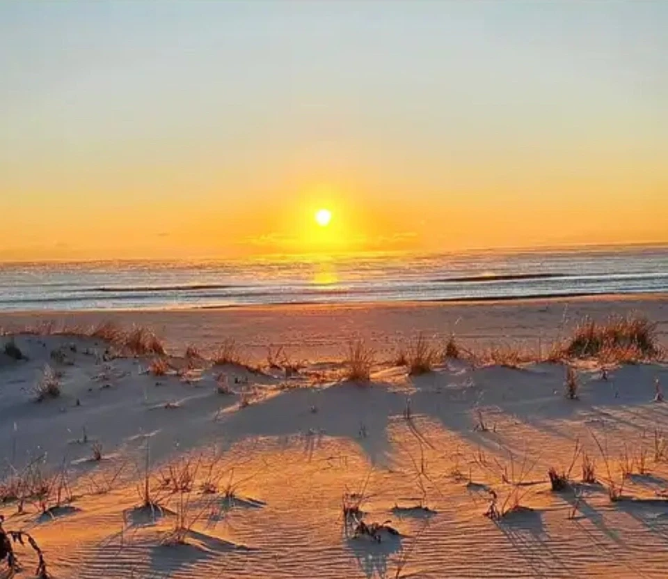 PURE GRIPS - PURE WRAP STANDARD BLACK - 13 GRIPS FREE SHIPPING Lower 48 - Imagem 1 de 1