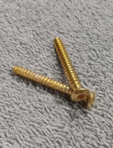 1980-92 Cadillac Fleetwood Brougham Gold Torx Screws Fr Taillight Bezel Set Of 4 - Picture 1 of 3