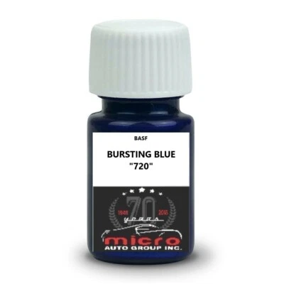Kit de pintura de retoque con cepillo 2 OZ para Volvo Bursting Blue 720 ENVÍO HOY Foto 1 de 2