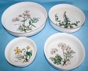 VILLEROY & BOCH " BOTANICA " - VITRO PORCELAINE SERVING DISHES - Imagen 1 de 9