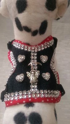 Hundegeschirr XS, Softgeschirr, Brustgeschirr, Halsband, Welpen,Jeans Glitzer - Bild 1 von 4