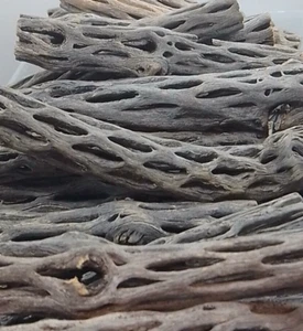 Cholla Cactus Wood Box - Aquariums - Shrimp - Parrot - Spider - Free Postage - Picture 1 of 34