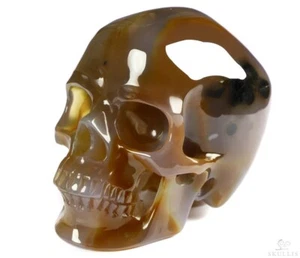 4,1 Zoll Premium brasilianischer Achat geschnitzter Kristallschädel, super realistisch, Heilung - Bild 1 von 7