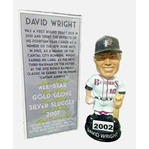 David Wright Fireflies Columbia Edizione Limitata 2019 Bobblehead Bombers #10 - Foto 1 di 4