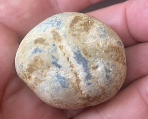 80 Millionen Jahre alter Seeigel. Ausgezeichnete prähistorische versteinerte Meeresbewohner. - Bild 1 von 3
