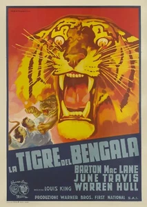 Bengal Tiger Italian Film Movie Poster plakat Print Wall Art - Bild 1 von 2