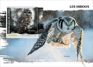GUINEA 2024 OWLS SET OF TWO SOUVENIR SHEETS MINT NH - Picture 1 of 2