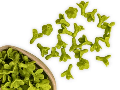 Cuentas de flores de arcilla Pakalana Cowslip Creeper para fabricación de Lei - Verde | ENVÍO DESDE CA Foto 1 de 4