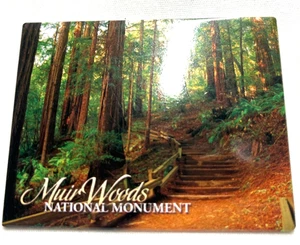 Magnet - Muir Woods National Monument - Bild 1 von 1