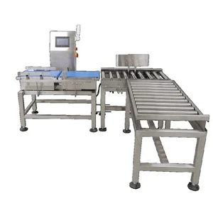 0.1-25Kg Automatic Check Weigher With Rejector for Box Food Bag Packing Products - Picture 1 of 11