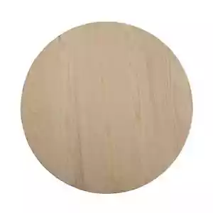 18" Unfinished Wooden Circle Plaque by Make Market® - Picture 1 of 5