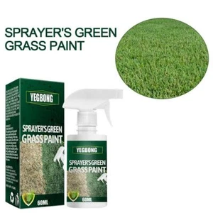 Pintura de hierba verde pulverizador - pintura de césped colorante de césped ENVÍO RÁPIDO pintura T0I1 - Imagen 1 de 9