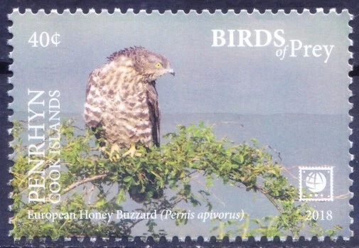 Penrhyn Cook Islands 2018 MNH, Birds of Prey, European Honey Buzzard, Falcons - Image 1 of 1