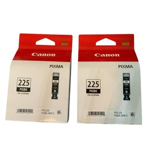 2--Neu Original Canon Pixma 225 PGBK Schwarz Tintenpatronen (zwei Packungen) - Bild 1 von 8