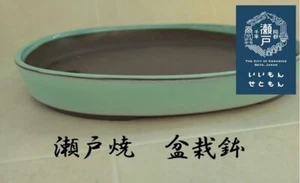 Olla bonsai japonesa "Seto ware bonsai pot" - Imagen 1 de 12