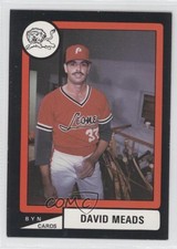 1988-89 BYN Puerto Rico Winter League David Meads #121