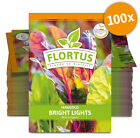FLORTUS 2000-0482-100x Mangold Bright Lights (100 Stück) (Mangoldsamen)