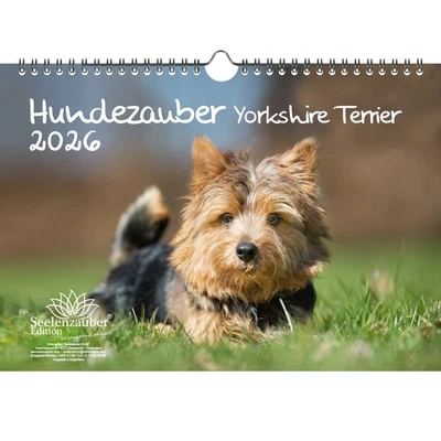 SEELENZAUBER GMBH Hundezauber Yorkshire Terrier DIN A4 Kalender für 2026 Welpen und Hunde - Seelen