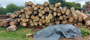 firewood logs wood seasoned - Picture 1 of 5
