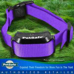 Petsafe YardMax Rechargeable Dog Collar Fence Receiver PIG00-11116 +Purple Strap