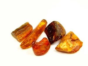 Lot of 5 Baltic Amber Stones 50gr. Brown Cognac Natural Genuine Polished 6741 - Picture 1 of 7