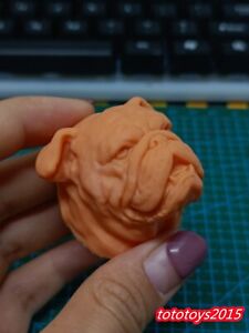 1:12 British Bulldog Pet Dog Animal Head Sculpt For 6" Soldier Figure Body Toy