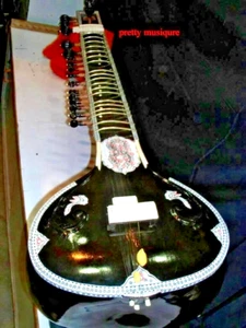 SITAR CLASSICAL MIRAJ PLAIN + UNBREAKABLE FIBER CASE + MEZRAB + FREE FAST SHIP - Picture 1 of 4