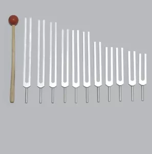 11 Mineralische Nährstoffe Stimmgabeln Tuner für Schallheilungstherapie + Hammer + Kostenloser Versand - Bild 1 von 1