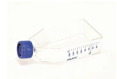 Thermo Nunc EasyFlask Cell Culture Flasks 75cm2  w/ Filter Cap Exp 2028 - Image 1 of 2