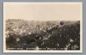 RPPC Übertreibung? Stripped Rabbit Drive Conard 101 KS Echtfoto Postkarte - Bild 1 von 2
