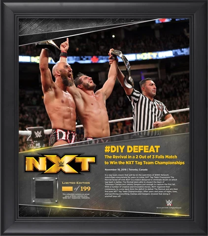 DIY WWE Framed 15" x 17" NXT TakeOver: Toronto Collage with a Piece Cover
