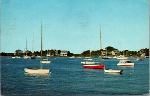 Vtg Sailboats from Watch Hill Rhode Island RI 1960s Postcard - Picture 1 of 2