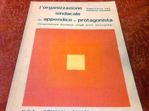L'ORGANIZZAZIONE SINDACALE DA APPENDICE A PROTAGONISTA - Imagen 1 de 1
