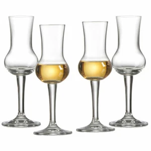 Ritzenhoff & Breker Grappa Glass Mambo Set of 4, Shot Glasses, Crystal Glass, 90ml - Picture 1 of 5