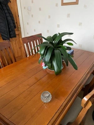 Solid Oak Wood Dining Table With 6 Chairs - Image 1 of 2