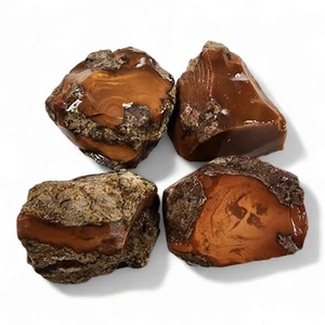 Bruneau Jasper Rough Pieces 320.2 grams. Lapidary or Display. - Picture 1 of 1