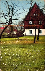 House or Cottage Netherlands or Germany Postcard Photochromie 2733 - Picture 1 of 2
