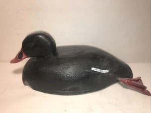 weißer Flügel Sea Scoter Ente Lockvogel befestigte Füße - Bild 1 von 19